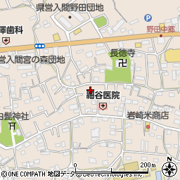 埼玉県入間市野田589周辺の地図