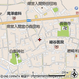 埼玉県入間市野田585周辺の地図