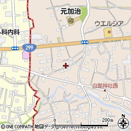 埼玉県入間市野田1566周辺の地図