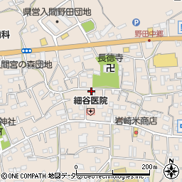 埼玉県入間市野田596周辺の地図