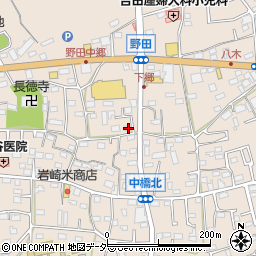 埼玉県入間市野田663周辺の地図