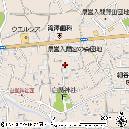 埼玉県入間市野田1481周辺の地図