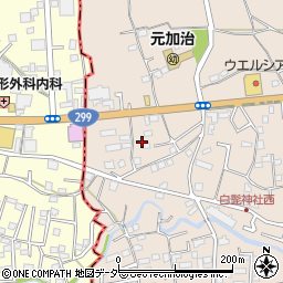 埼玉県入間市野田1564周辺の地図