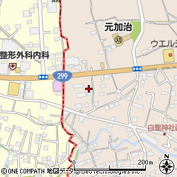 埼玉県入間市野田1562周辺の地図