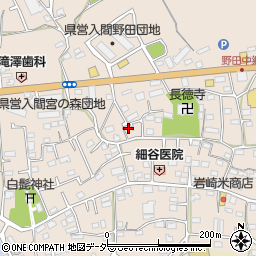 埼玉県入間市野田599周辺の地図