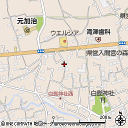 埼玉県入間市野田1517周辺の地図