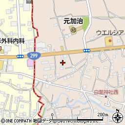 埼玉県入間市野田1572周辺の地図