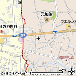 埼玉県入間市野田1573周辺の地図