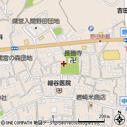 埼玉県入間市野田605周辺の地図
