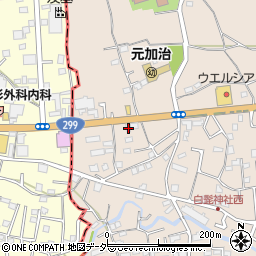 埼玉県入間市野田1571周辺の地図
