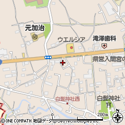 埼玉県入間市野田1519周辺の地図