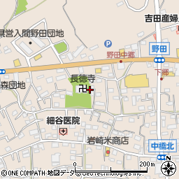 埼玉県入間市野田607周辺の地図