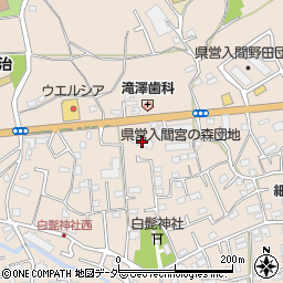埼玉県入間市野田1484周辺の地図