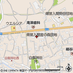 埼玉県入間市野田1470周辺の地図