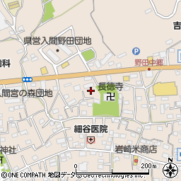 埼玉県入間市野田604周辺の地図