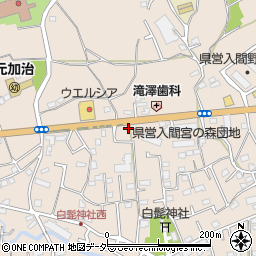 埼玉県入間市野田1499周辺の地図
