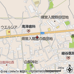 埼玉県入間市野田1471周辺の地図