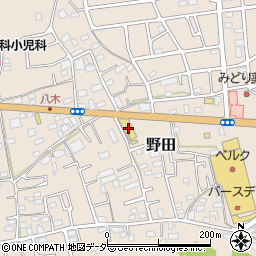埼玉県入間市野田873周辺の地図