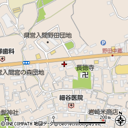 埼玉県入間市野田602周辺の地図