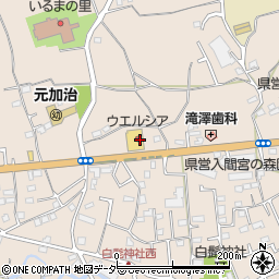 埼玉県入間市野田1503周辺の地図