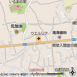 ウエルシア入間野田店周辺の地図