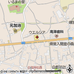 ウエルシア入間野田店周辺の地図