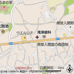 埼玉県入間市野田1487周辺の地図