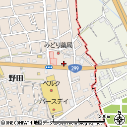 埼玉県入間市野田3078-11周辺の地図