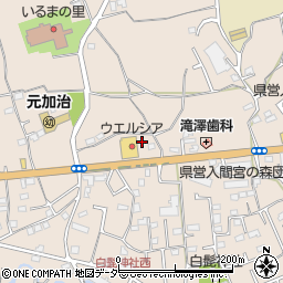 埼玉県入間市野田1502周辺の地図