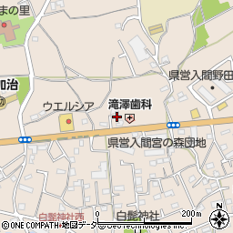 埼玉県入間市野田1486周辺の地図