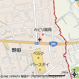 埼玉県入間市野田3078-13周辺の地図