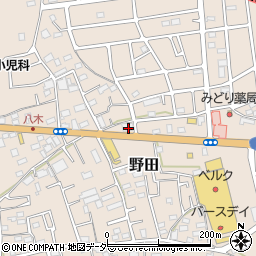 埼玉県入間市野田875周辺の地図