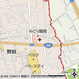 埼玉県入間市野田3078周辺の地図