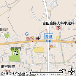 埼玉県入間市野田1382周辺の地図