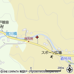 埼玉県飯能市下直竹447-1周辺の地図