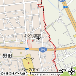 埼玉県入間市野田3079周辺の地図