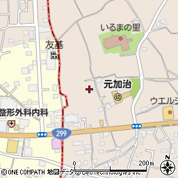 埼玉県入間市野田1603周辺の地図