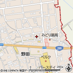 埼玉県入間市野田3050周辺の地図