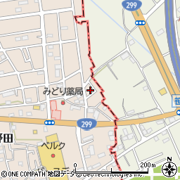 埼玉県入間市野田3080周辺の地図
