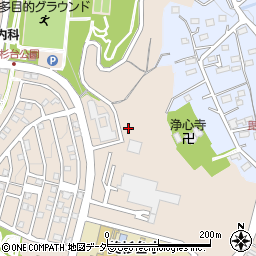 〒357-0041 埼玉県飯能市美杉台の地図