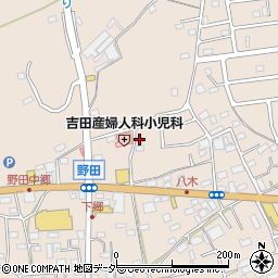 埼玉県入間市野田1250周辺の地図