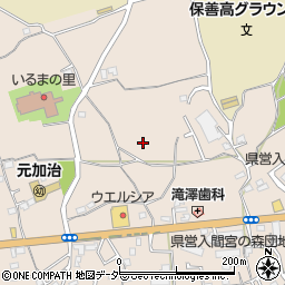 埼玉県入間市野田1964周辺の地図
