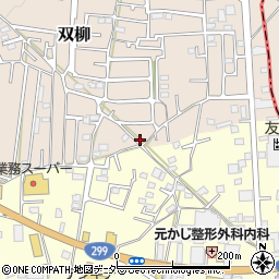 埼玉県飯能市双柳866-3周辺の地図