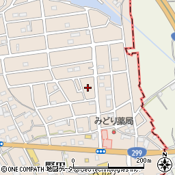 埼玉県入間市野田3042周辺の地図