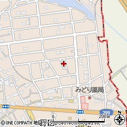埼玉県入間市野田3043周辺の地図