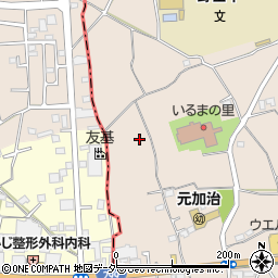 埼玉県入間市野田1639周辺の地図