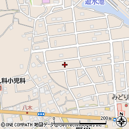 埼玉県入間市野田3007周辺の地図