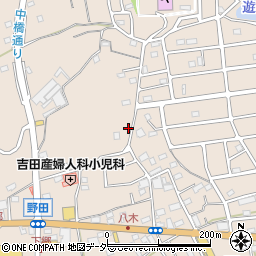 埼玉県入間市野田1255周辺の地図