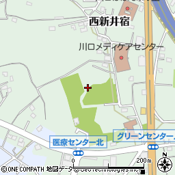 埼玉県川口市西新井宿周辺の地図