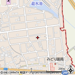 埼玉県入間市野田3033周辺の地図